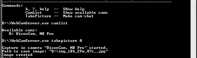 WebCamConsole в действии