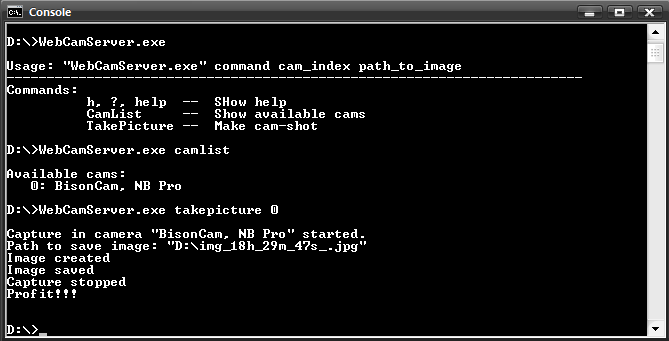 WebCamConsole в действии